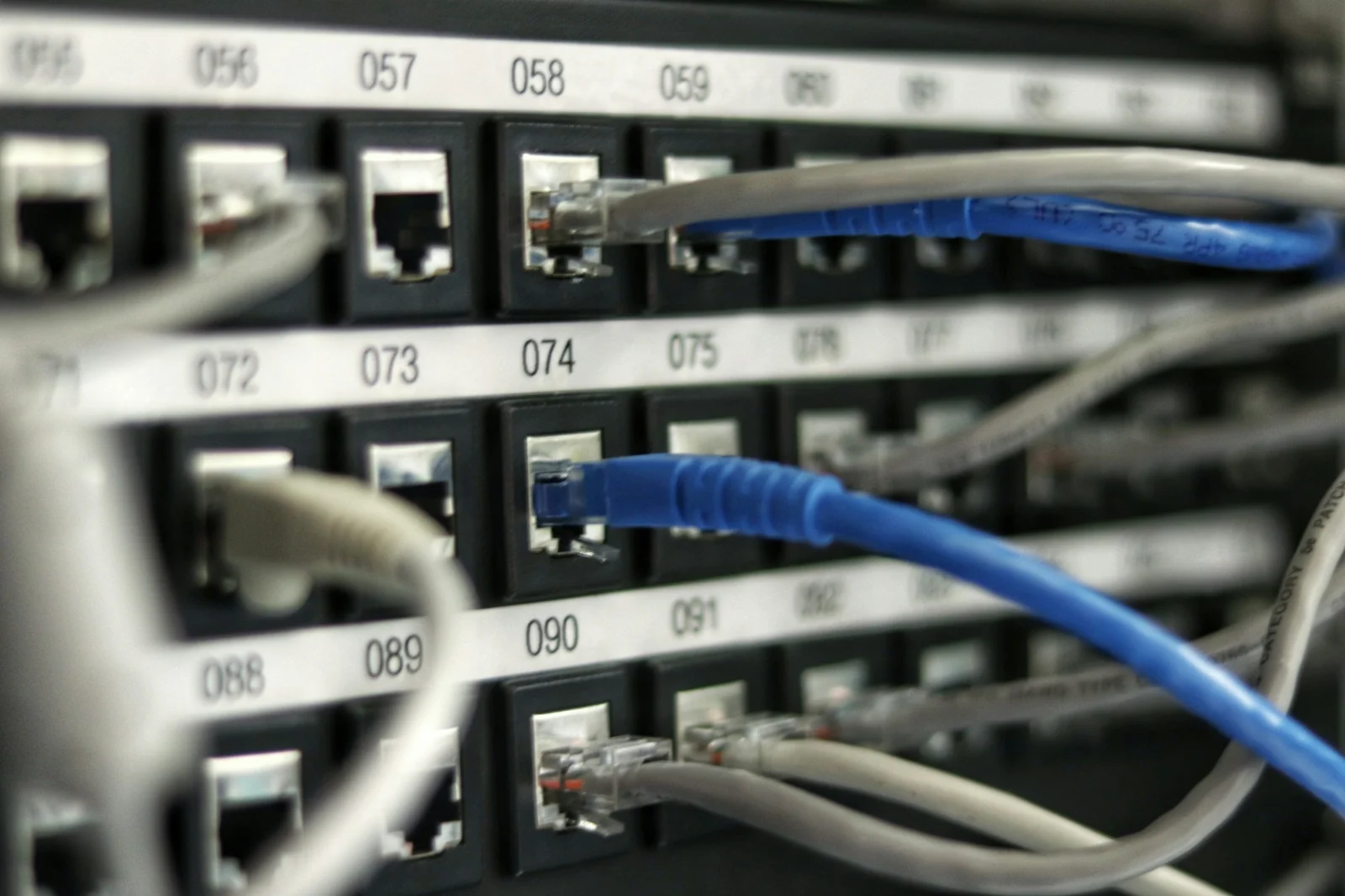 Blue network cables plugged into a numbered patch panel